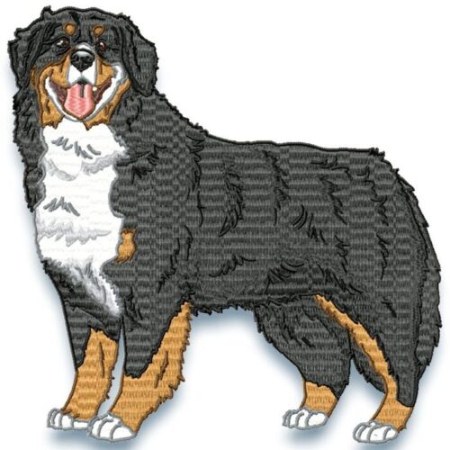 Bernese Mountain Dog Realistic
