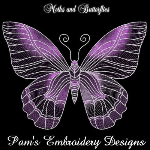 Moths and Butterflies