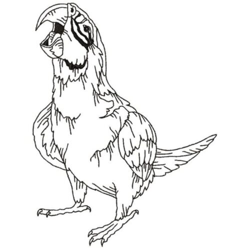 Parrots Line Work 2