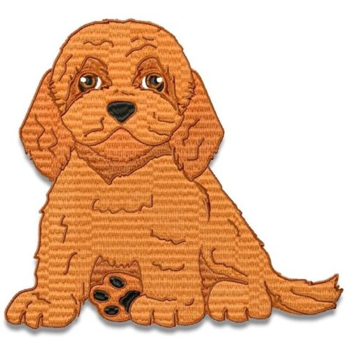 Cavapoo or Cavoodle Realistic