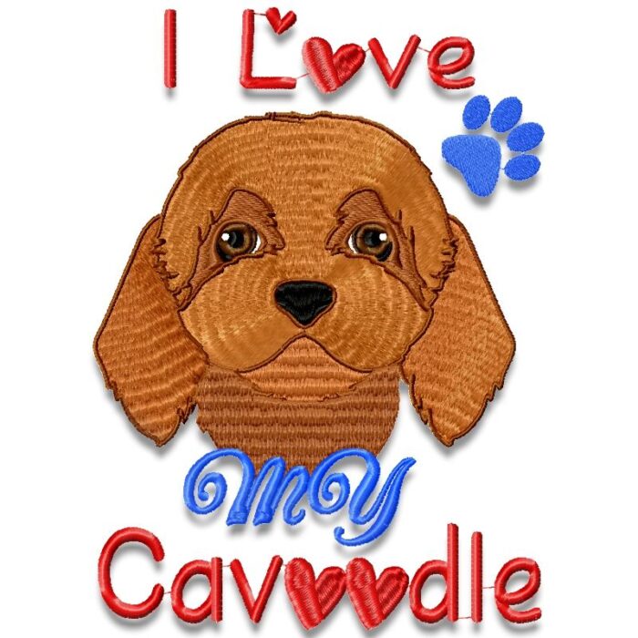 I love my store cavapoo