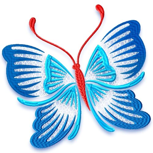 Striking Butterflies