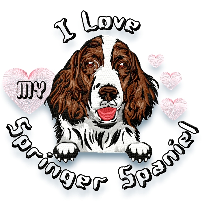 I love my springer 2024 spaniel