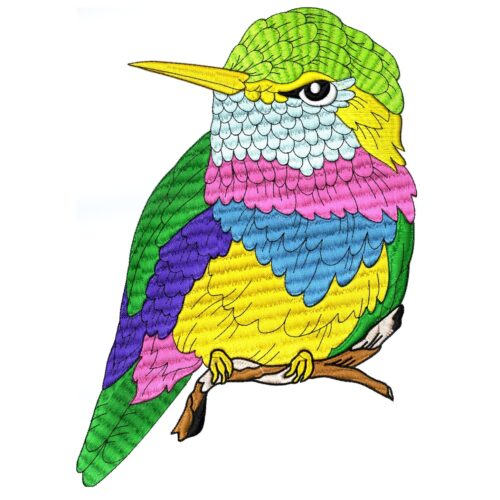 Delightful Hummingbirds