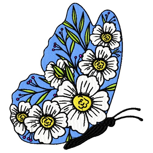 Eye-Catching Butterflies