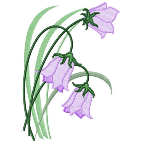 Violet Bell Flower