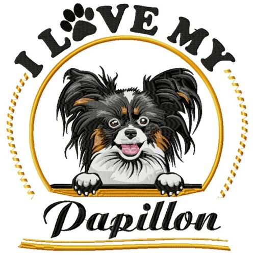 i love my papillon