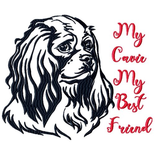 My Cavie My Best Friend