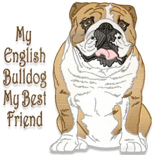My English Bulldog