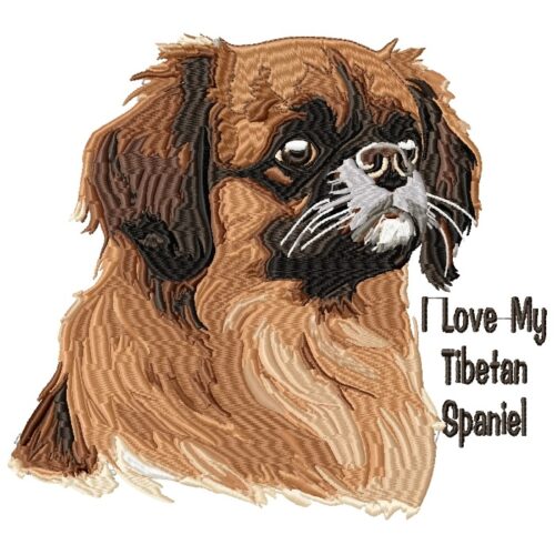Tibetan Spaniel