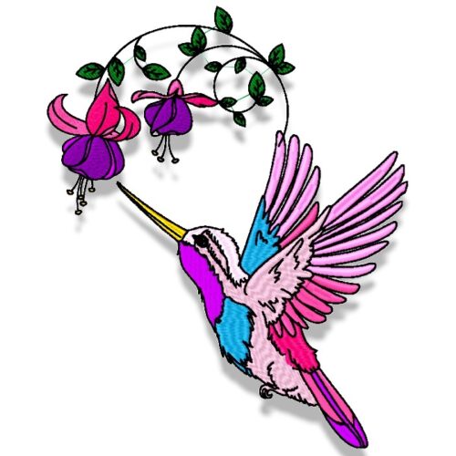 hummingbird colourful