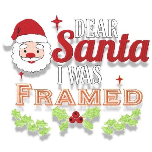 Santa I Was Framed