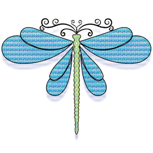 Dragonfly Fun