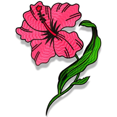 Hibiscus