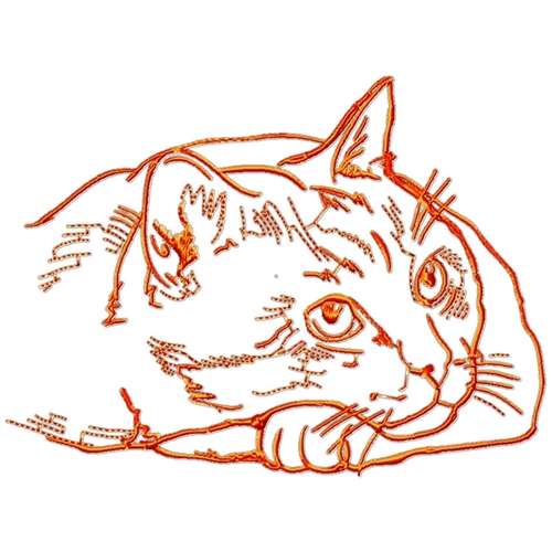 cats Outline